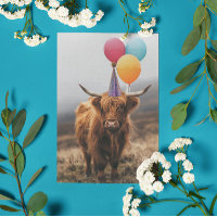 Highland Kuh Geburtstagsballons