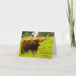 Highland-Kuh-Grußkarte Karte