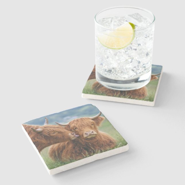 Highland-Kuh-Kuss Steinuntersetzer (Seitenansicht)