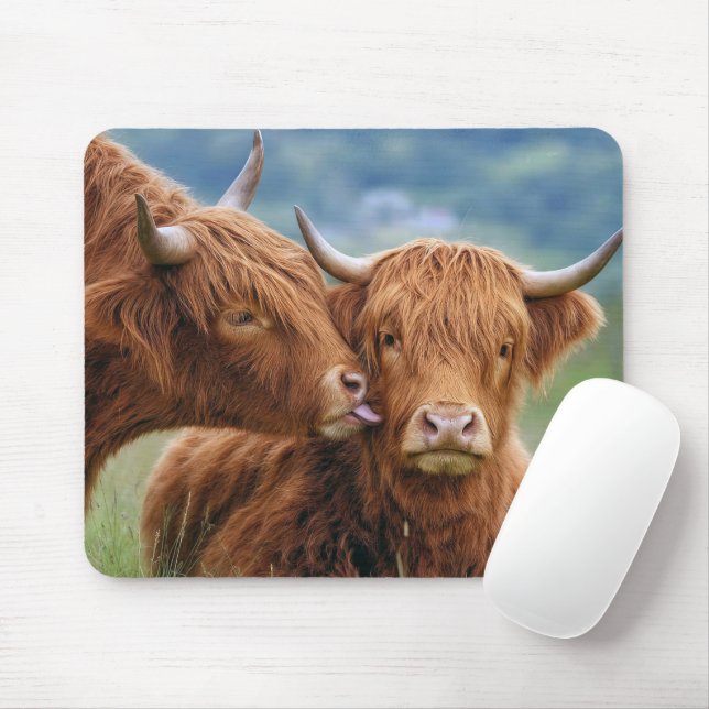 Highland-Kuh küsst Kuh Mousepad (Mit Mouse)