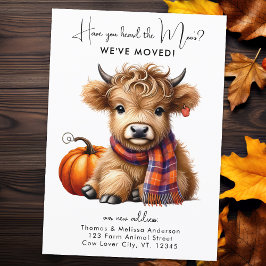 Highland Kuh neue Adresse wir bewegt Herbst bewege Ankündigung