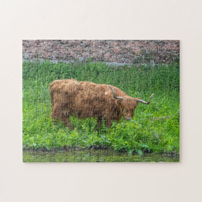 Highland-Kuh-Puzzle Puzzle (Horizontal)