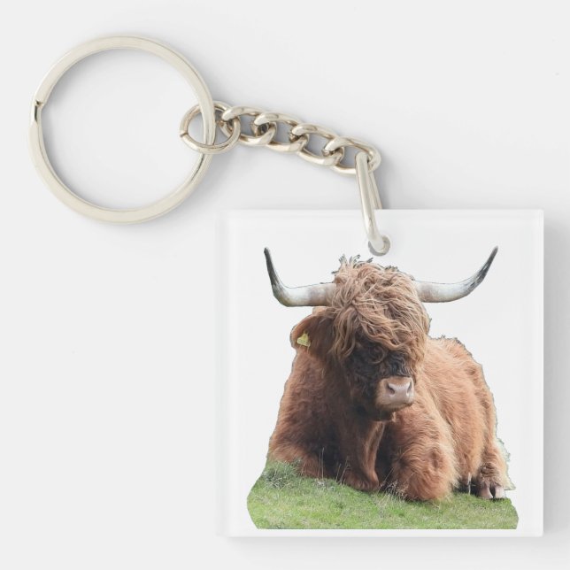 Highland "Moo Cow" Schlüsselanhänger (Vorderseite)