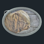 HIGHLAND OVALE GÜRTELSCHNALLE<br><div class="desc">Ein Kunstdesign einer schönen Highland Kuh.</div>