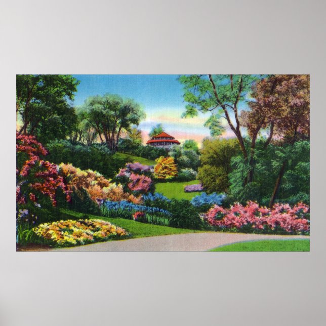 Highland Park Rhododendronen in Bloom Poster (Vorne)