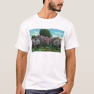 Highland- Parkfliedern in der Blüte T-Shirt
