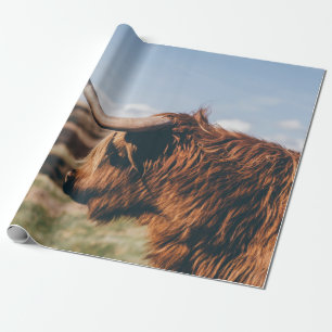 HIGHLAND-RIND GESCHENKPAPIER