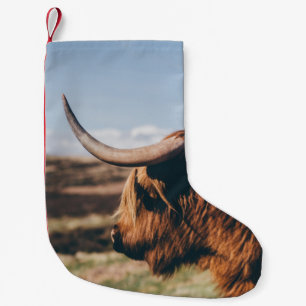 HIGHLAND-RIND KLEINER WEIHNACHTSSTRUMPF
