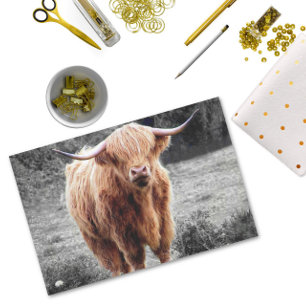 Highland-Rind Schottland Ländlich Seidenpapier