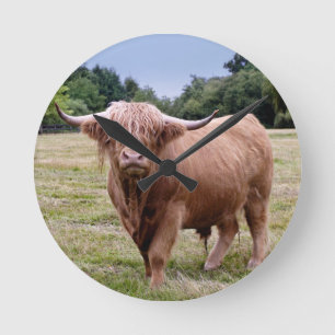Highland-Rind-Uhr Runde Wanduhr