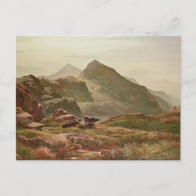 Highland-Szene Postkarte (Vorderseite)