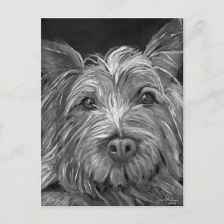 Highland Terrier Postcard Postkarte