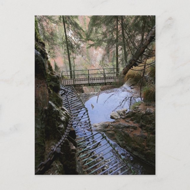 Hikin in Slowakei Postkarte (Vorderseite)