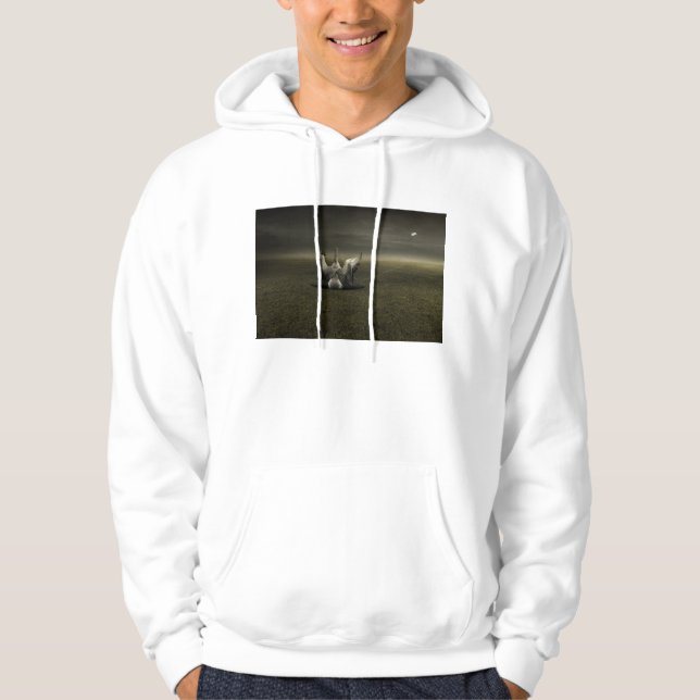 Hilfe auf der Weise 2013 Hoodie (Vorderseite)