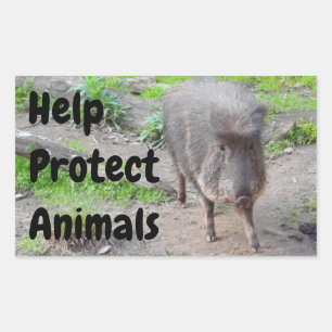 Hilfe zum Schutz von Tieren Chacoan Peccary #1 Sti Rechteckiger Aufkleber