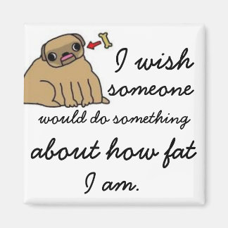 hilfloser Fettmagnet Magnet