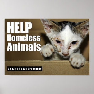 Hilfsobdachloses Tierplakat Poster