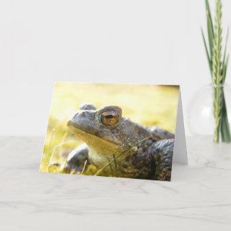 Hill End Toad Karte