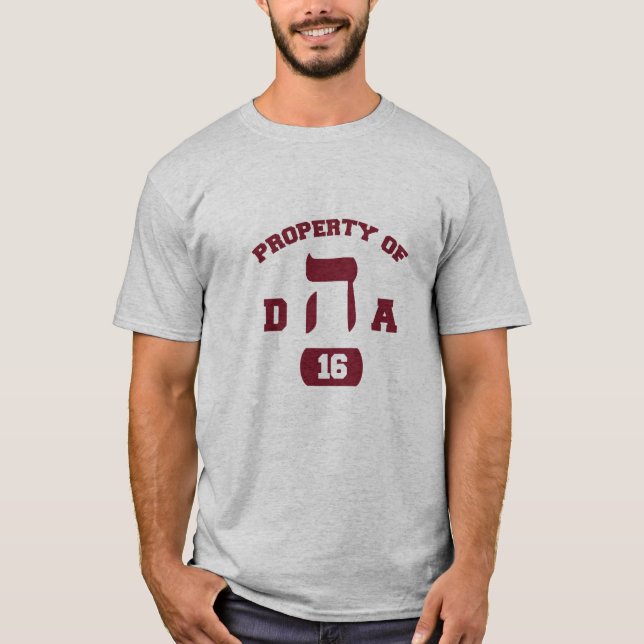 Hillel DHA T-Shirt (Vorderseite)