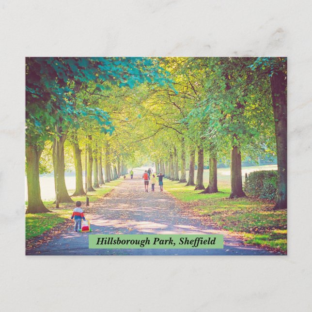 Hillsborough Park, Sheffield Postcard Postkarte (Vorderseite)