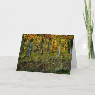 Hillside Birch - Individuell angepasst Karte