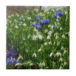 Hillside of Early Spring Flowers Landschaft Fliese