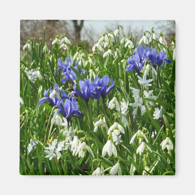 Hillside of Early Spring Flowers Landschaft Magnet (Vorne)