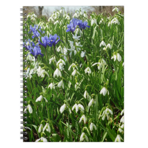 Hillside of Early Spring Flowers Landschaft Notizblock