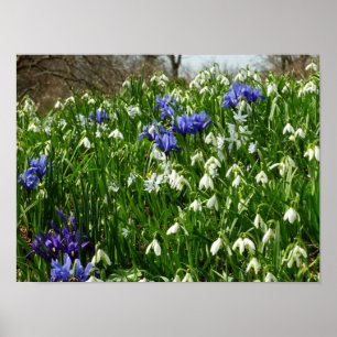 Hillside of Early Spring Flowers Landschaft Poster