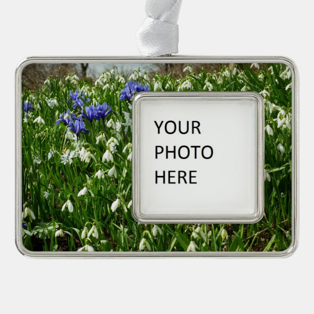 Hillside of Early Spring Flowers Landschaft Rahmen-Ornament Silber (Vorderseite)