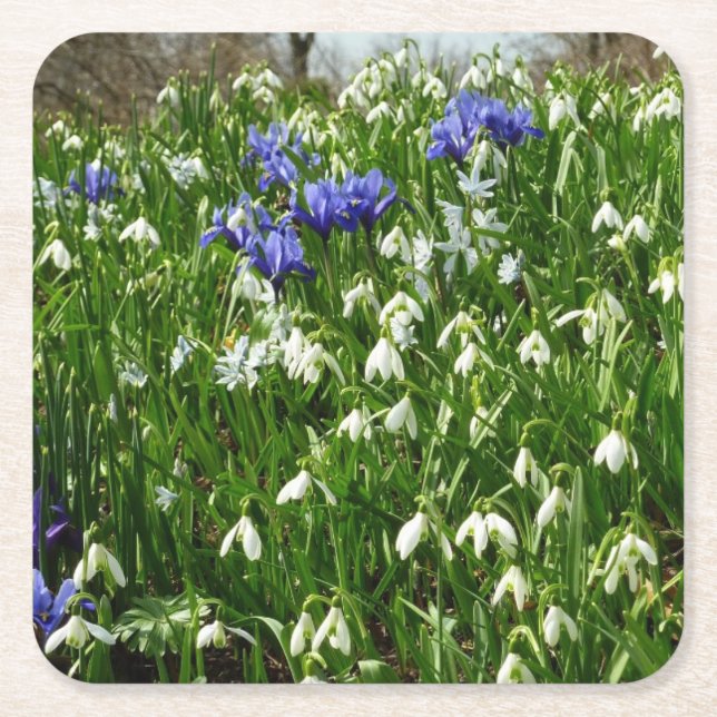 Hillside of Early Spring Flowers Landschaft Rechteckiger Pappuntersetzer (Vorderseite)