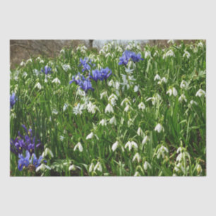 Hillside of Early Spring Flowers Landschaft Seidenpapier