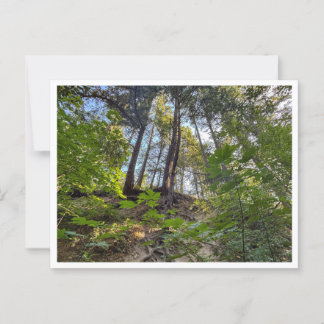 Hillside Postkarte