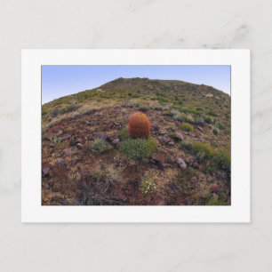 " Hillside Silo " Postkarte