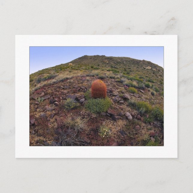 " Hillside Silo " Postkarte (Vorderseite)