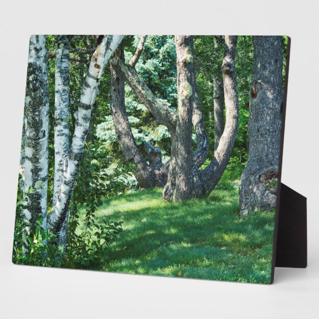 Hillside Trees Fotoplatte (Seite)