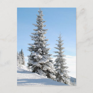 Hilltop Postkarte