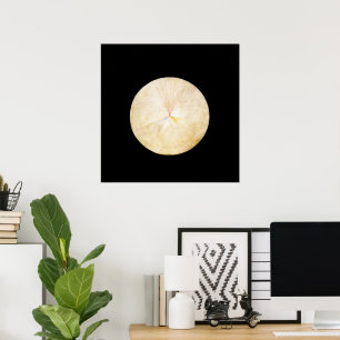 Hilma Af Klint, Der Schwan Nr.14, Abstrakte Kunst Poster