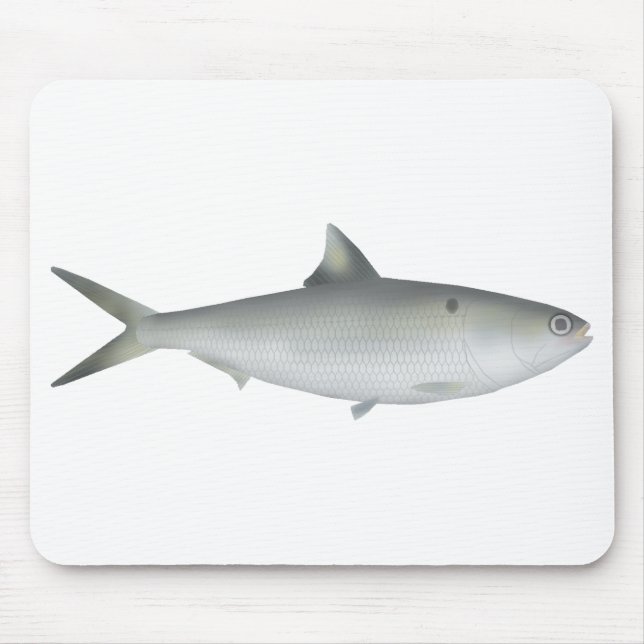 Hilsa Shad Mousepad (Vorne)