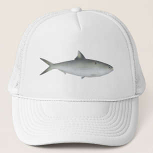 Hilsa Shad Truckerkappe