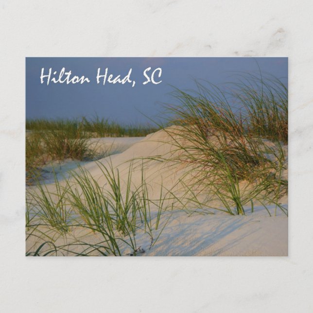 Hilton Head, SC Postkarte (Vorderseite)