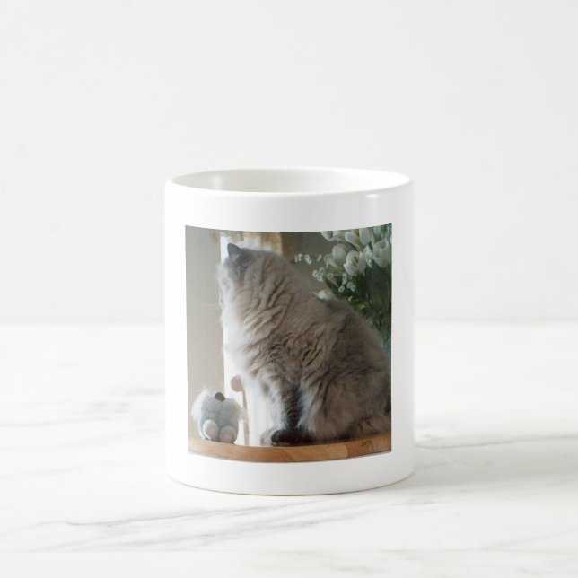 Himalaja-Perserkatze Kaffeetasse (Mittel)
