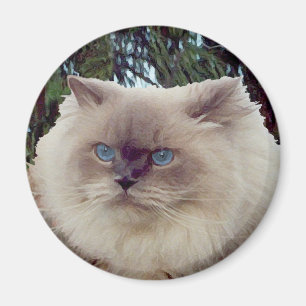 Himalaja-Perserkatze Magnet