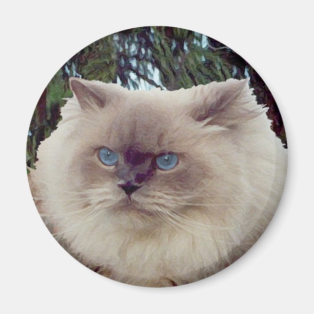 Himalaja-Perserkatze Magnet (Vorne)