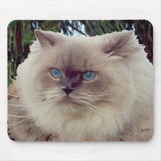 Himalaja-Perserkatze Mousepad (Vorne)