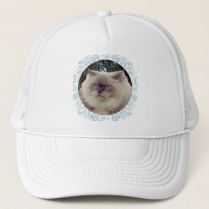 Himalaja-Perserkatze Truckerkappe