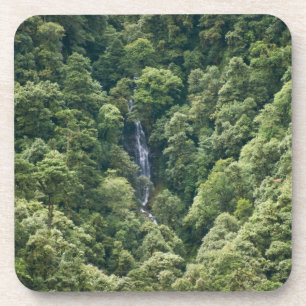 Himalaja-Wald im Mangdue-Tal, Bhutan Getränkeuntersetzer