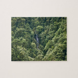 Himalaja-Wald im Mangdue-Tal, Bhutan Puzzle