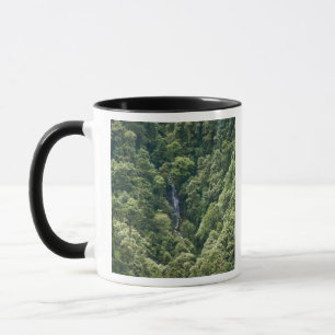 Himalaja-Wald im Mangdue-Tal, Bhutan Tasse