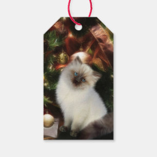 Himalajakätzchen Weihnachten Geschenkanhänger